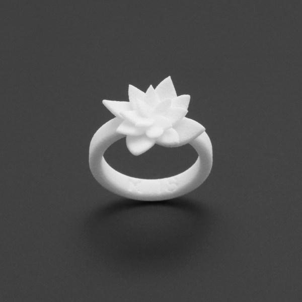 ring no.123 miznk 3d printing jewelry 